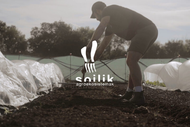 SOILIK PORTADA